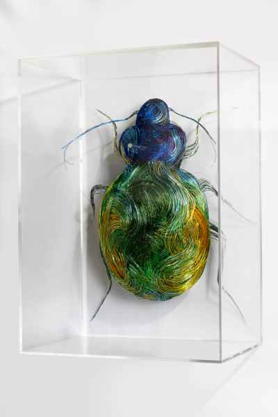 Boite vitrine / coiffe en plexi