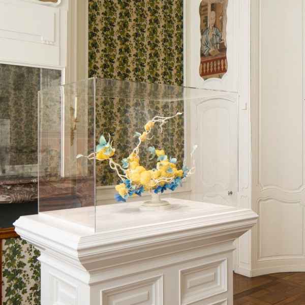 Boite vitrine / coiffe en plexi