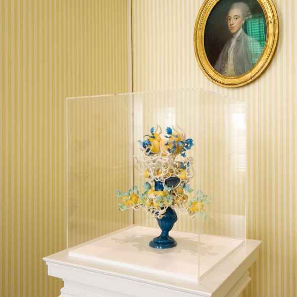 Boite vitrine / coiffe en plexi