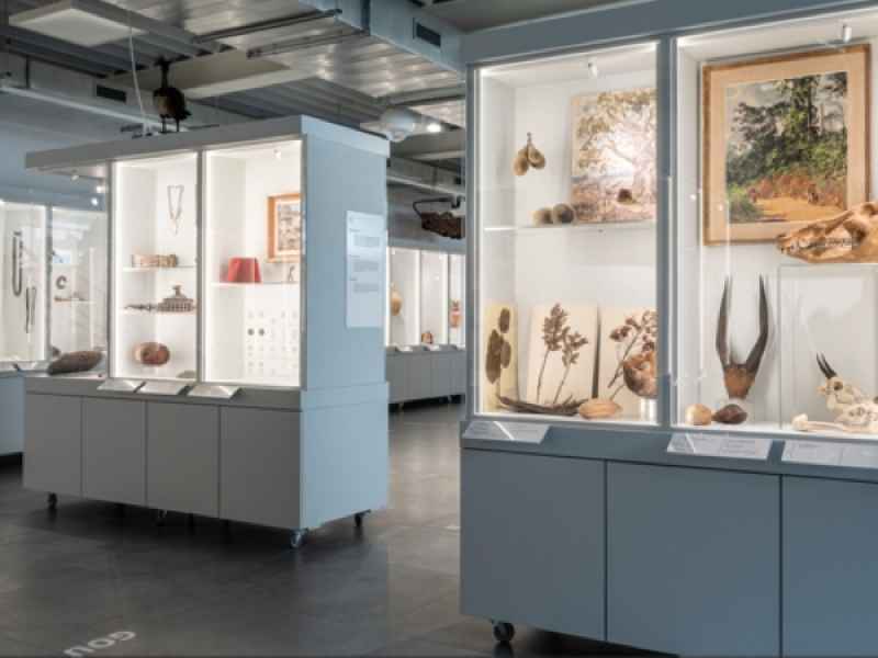 éléments en plexi pour les vitrines