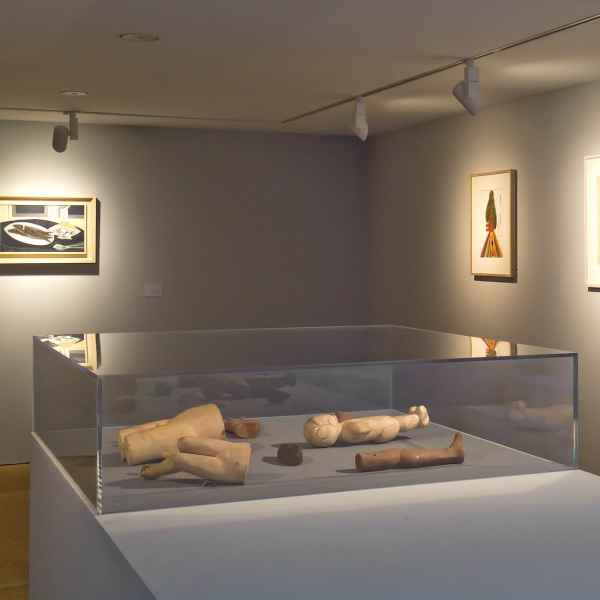 vitrinedoos - stolp in plexi